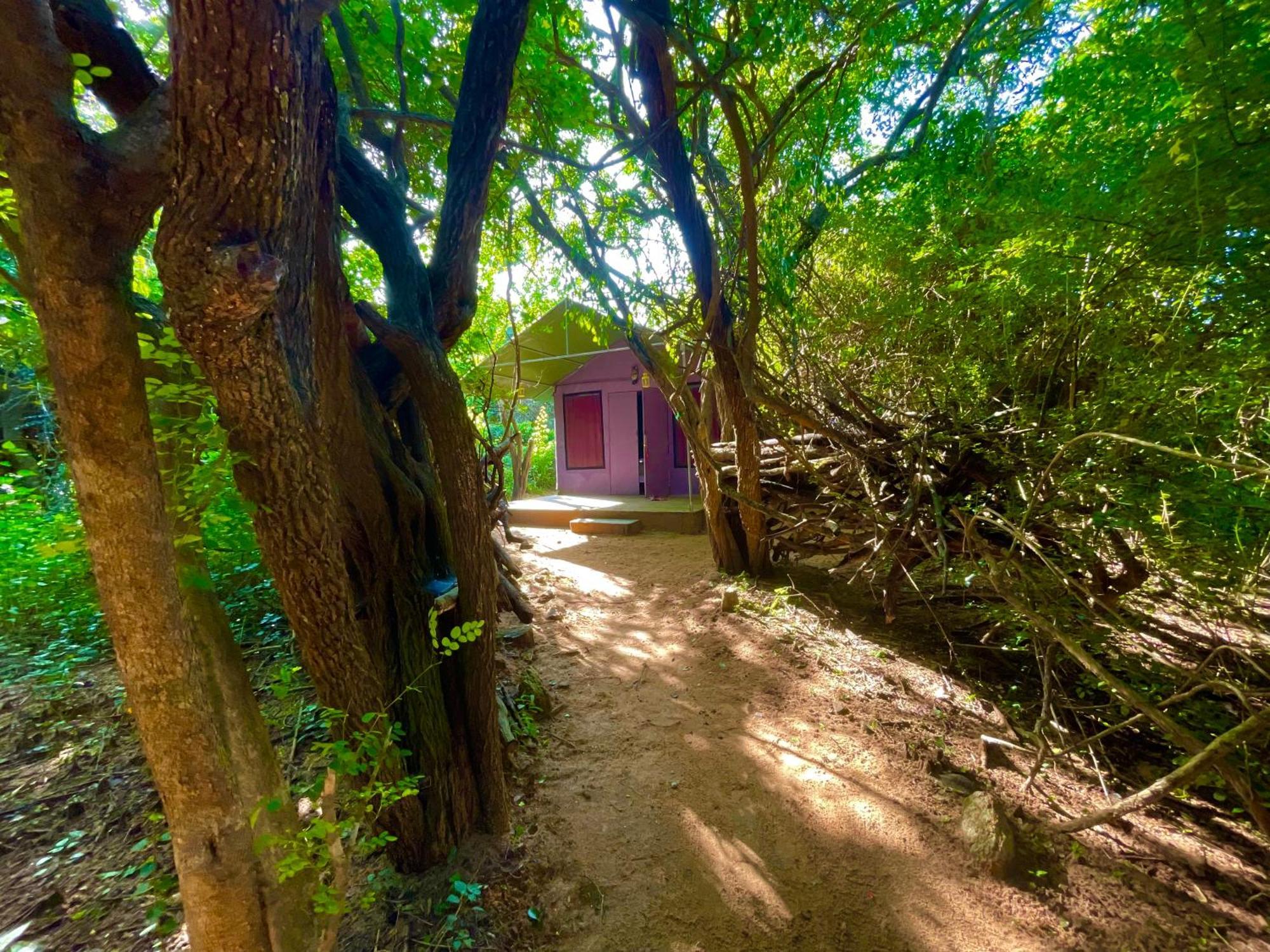 ホテル Yala Eco Bush Camp エクステリア 写真