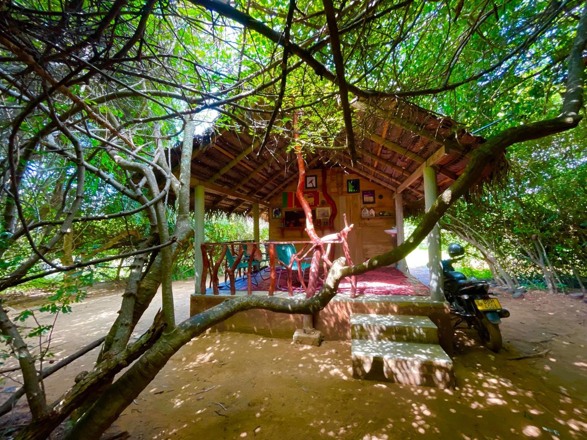 ホテル Yala Eco Bush Camp エクステリア 写真