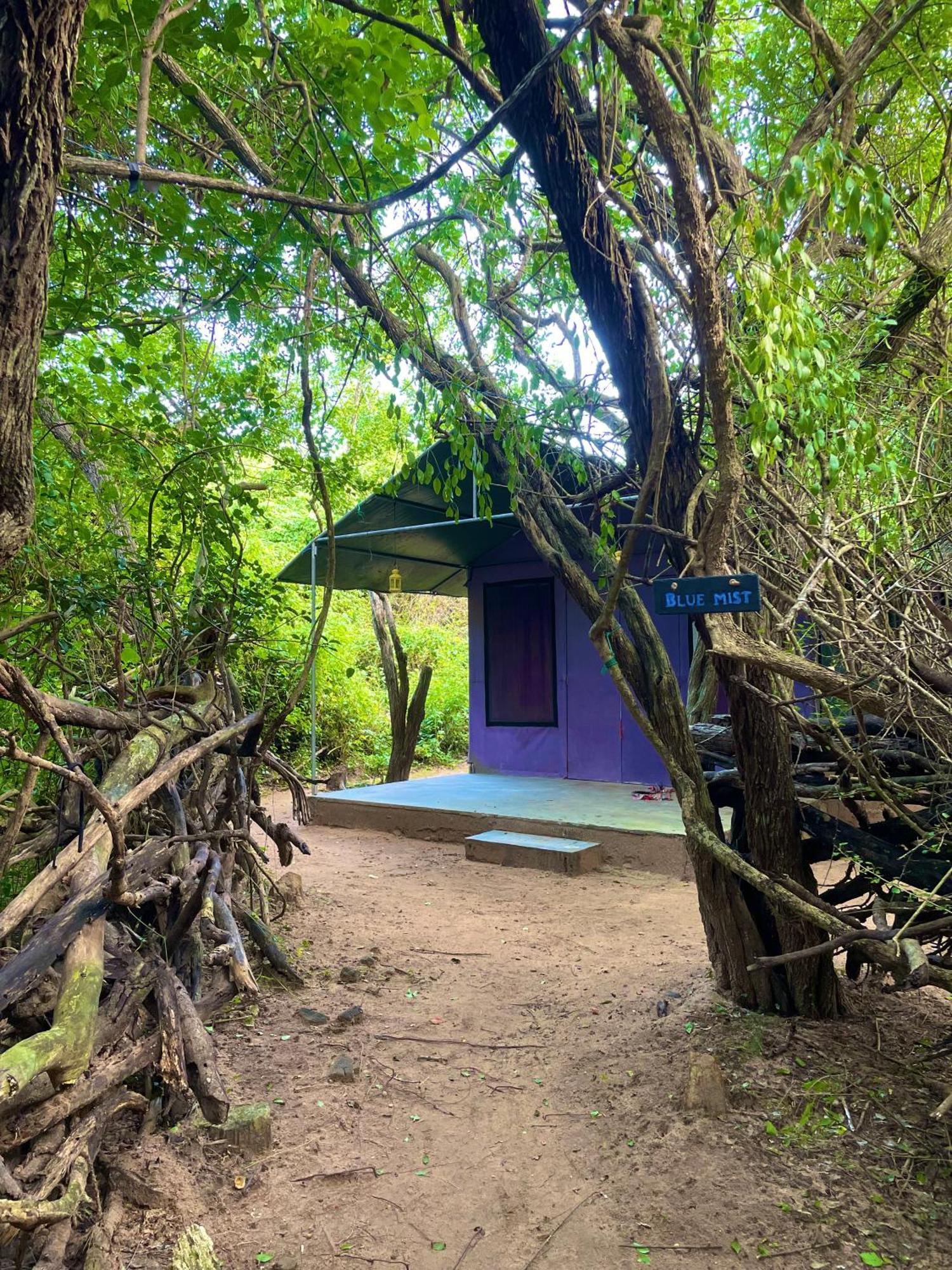 ホテル Yala Eco Bush Camp エクステリア 写真