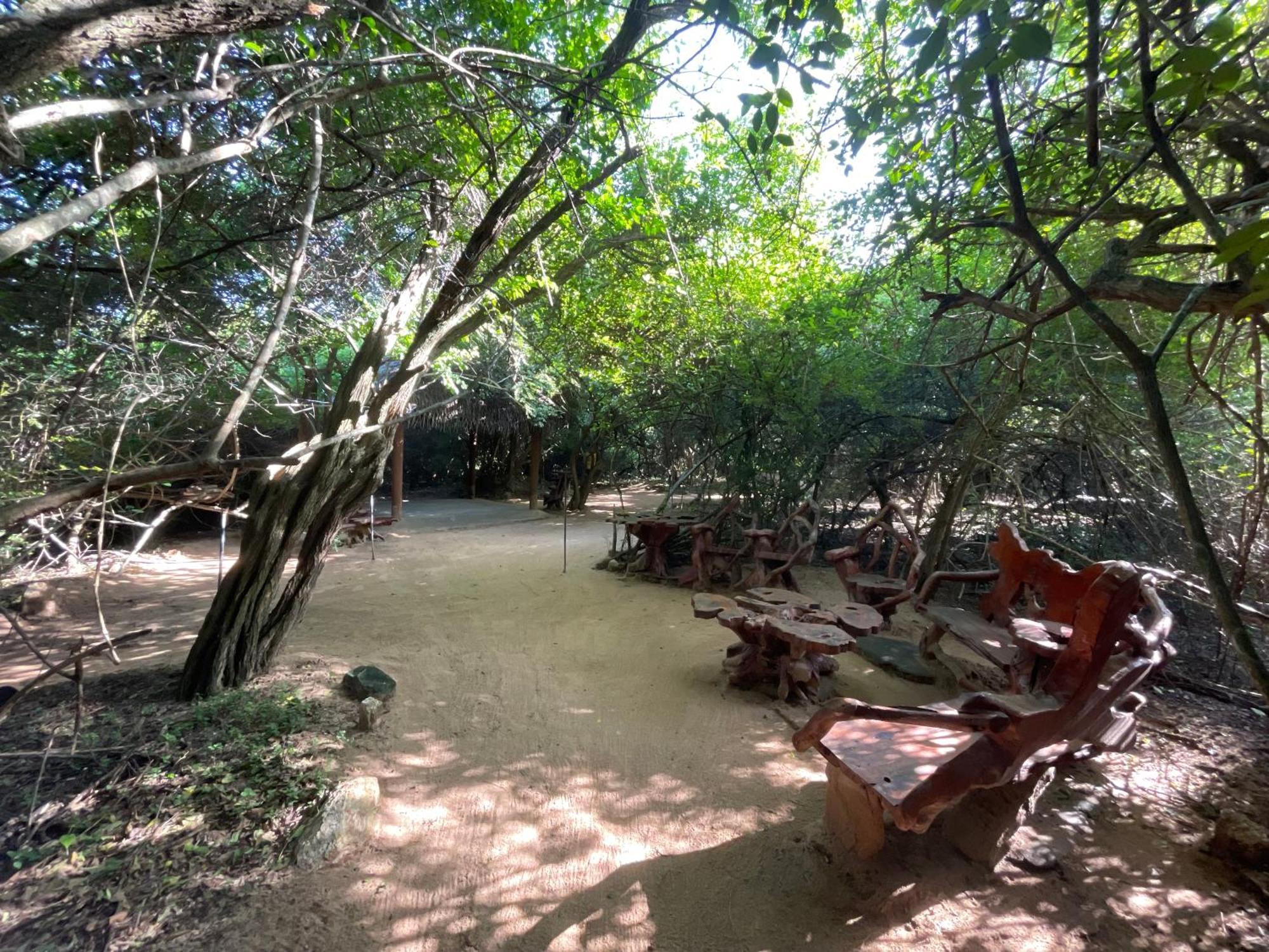 ホテル Yala Eco Bush Camp エクステリア 写真