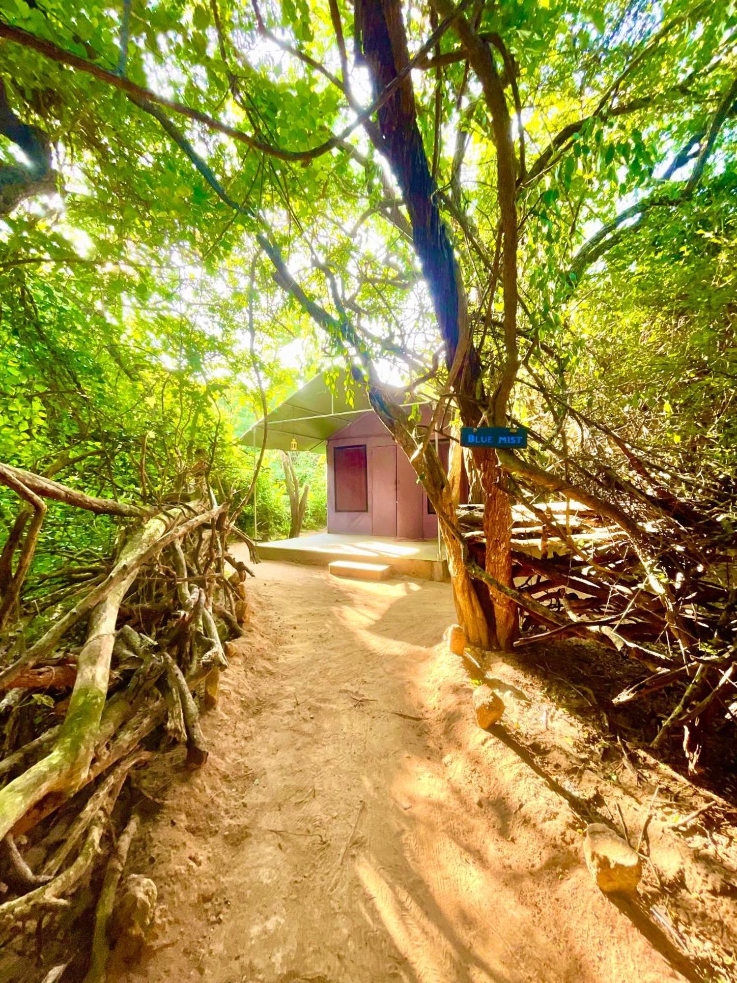 ホテル Yala Eco Bush Camp エクステリア 写真